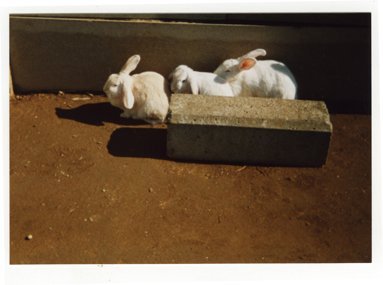 Superheadz 110 Format Secret Spy Book Camera Classic Red - Image 3